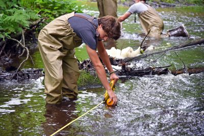 The Natural Resources Conservation Academy (NRCA) holds a workshop for its Conservation Training Partnership (CTP) program at Lion’s Memorial Park in Mansfield, CT. 