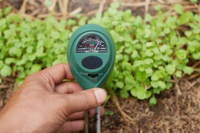 a close-up of a hand holding a soil moisture meter with a green casing, used to measure the moisture level, pH, and light intensity of soil.