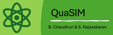 QuaSIM Logo