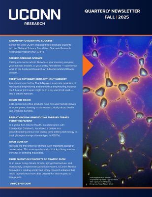 Cover image, UConn Research Newsletter Fall 2025
