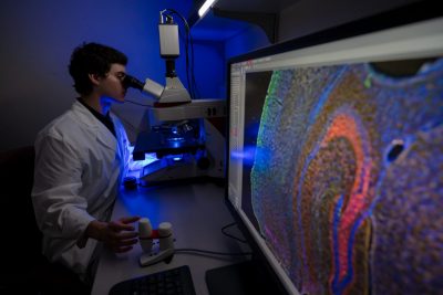 graduate student looks through a microscope with computer screen displaying neuroscience research image